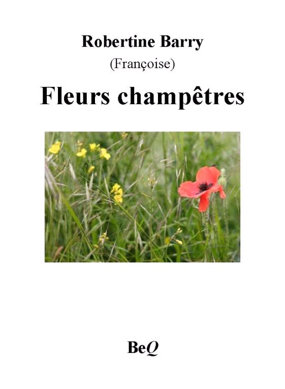 Fleurs champêtres