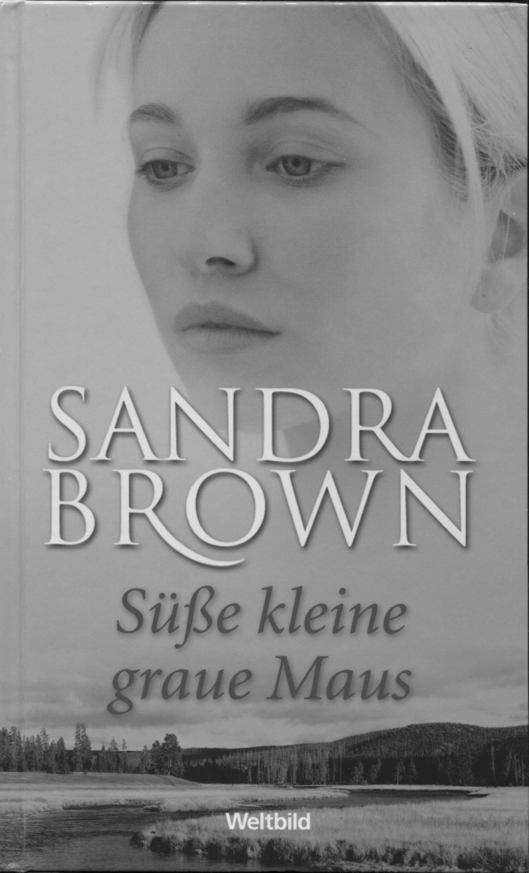 Sueße kleine graue Maus