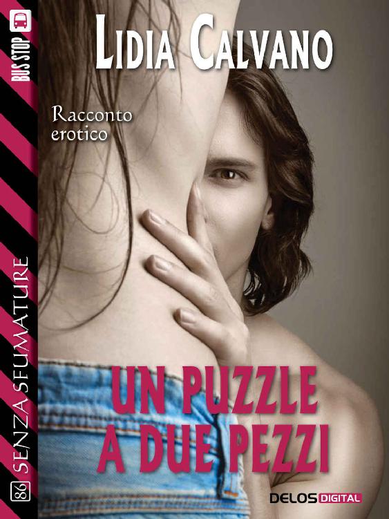 Un puzzle a due pezzi