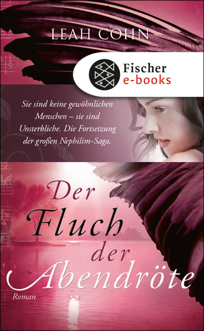 Der Fluch der Abendröte. Roman