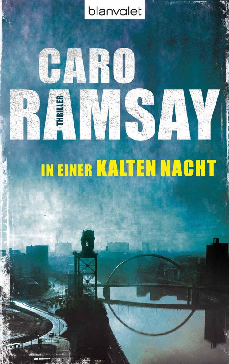 In einer kalten Nacht: Roman