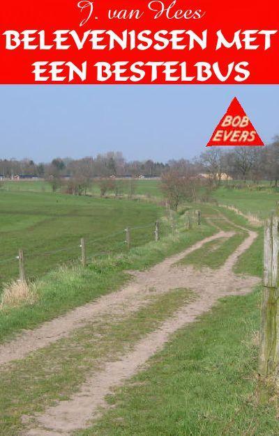 Belevenissen met een bestelbus