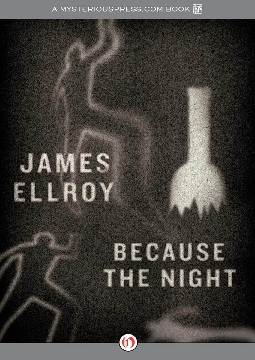 Because the Night