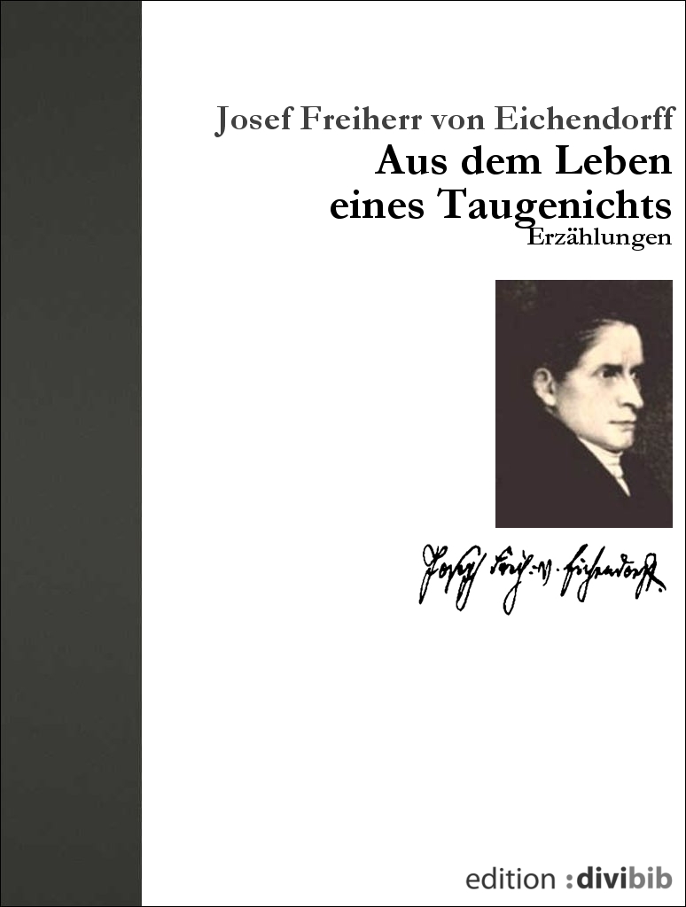 Aus dem Leben eines Taugenichts - Erzaehlungen