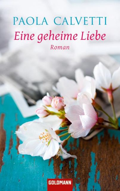 Eine geheime Liebe - Roman