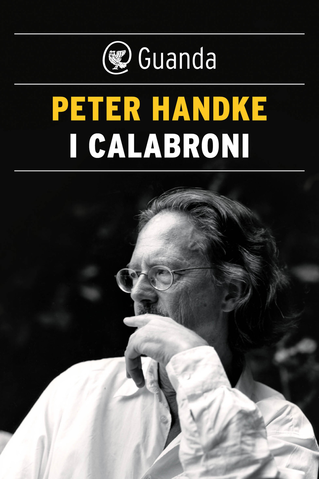 I calabroni