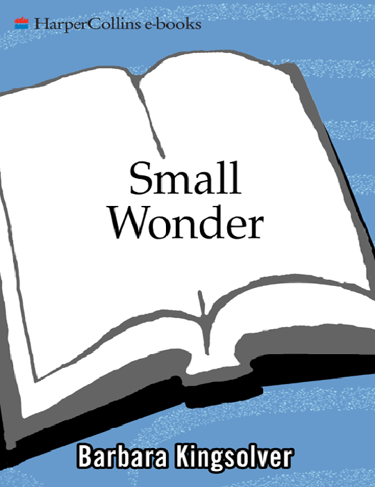 Small Wonder
