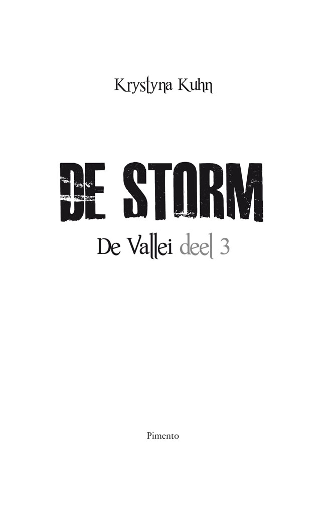 De storm