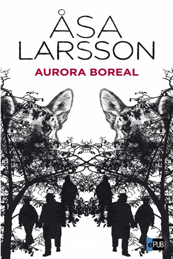 Aurora Boreal