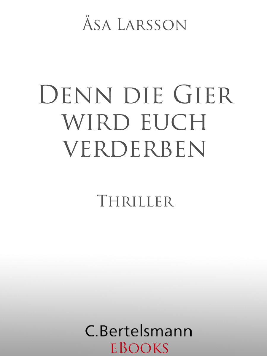 Denn die Gier wird euch verderben - Thriller