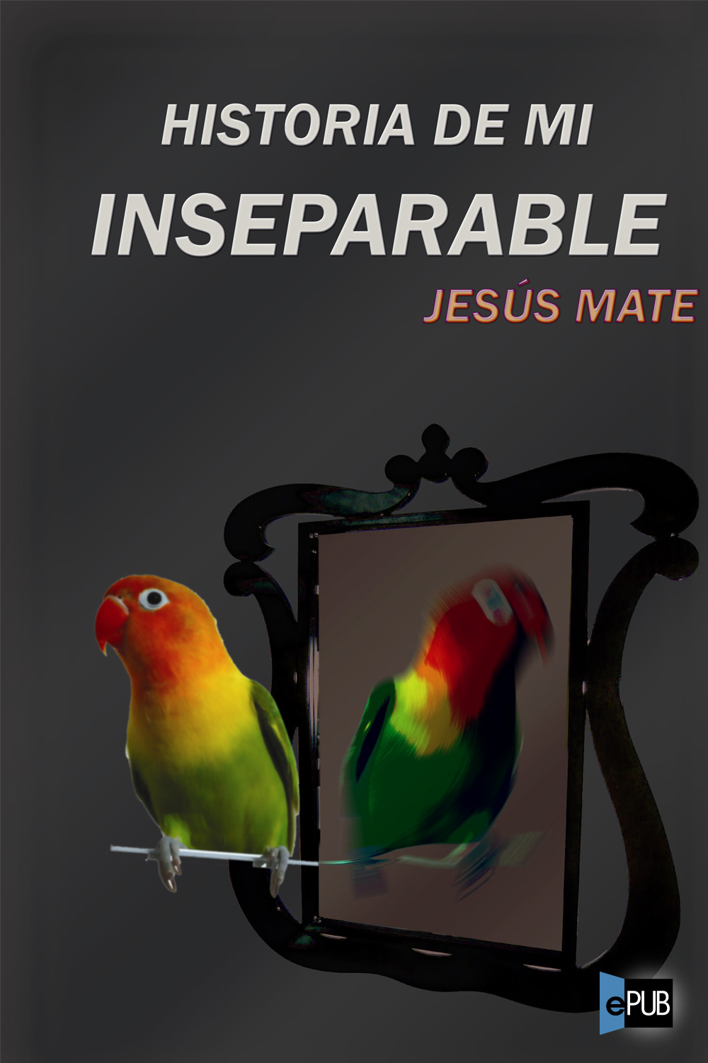 Historia de mi inseparable