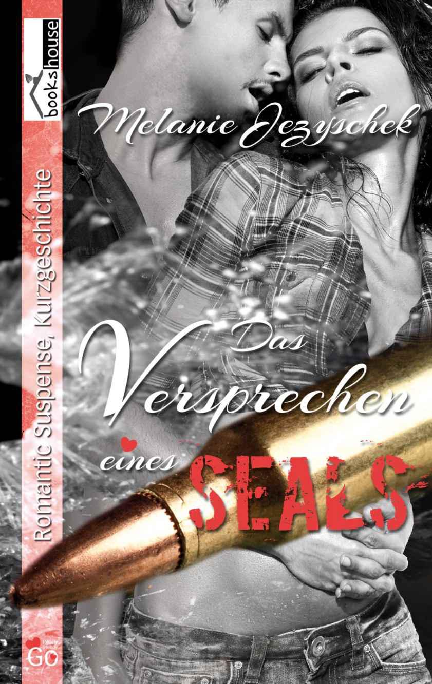 Das Versprechen eines SEALs