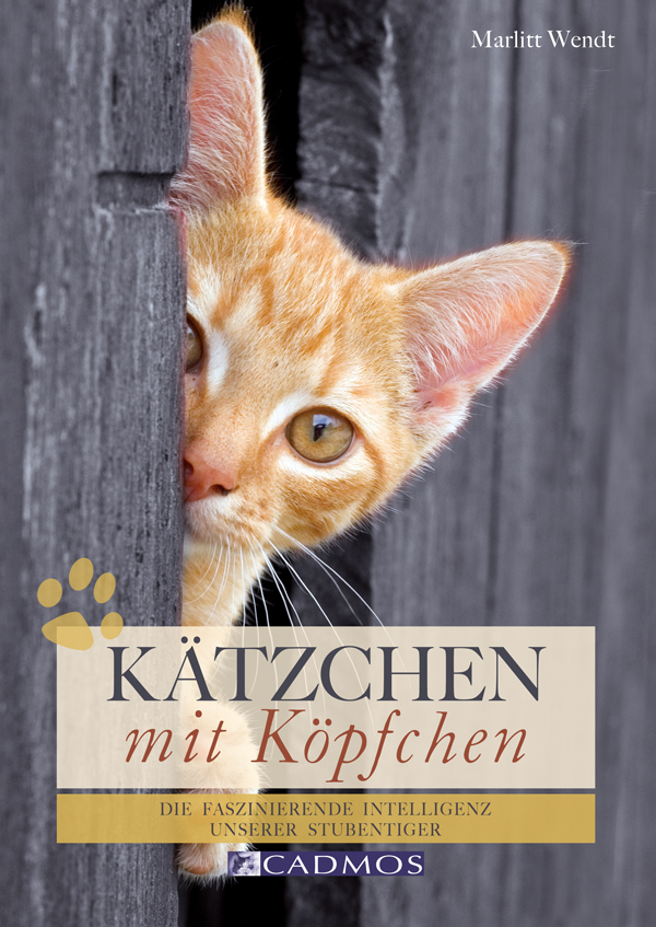 Kaetzchen mit Koepfchen