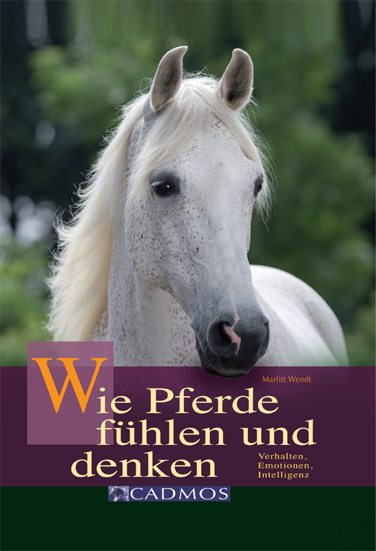 Wie Pferde denken und fühlen - Wendt, M: Wie Pferde denken und fühlen
