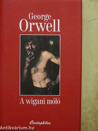A wigani móló