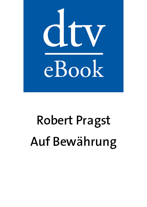 Auf Bewährung - mein Jahr als Staatsanwalt