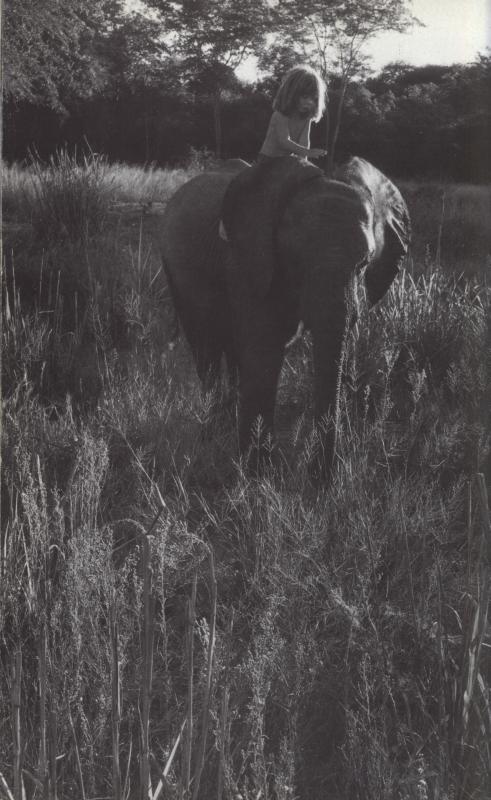 Tippi: Kind van Afrika