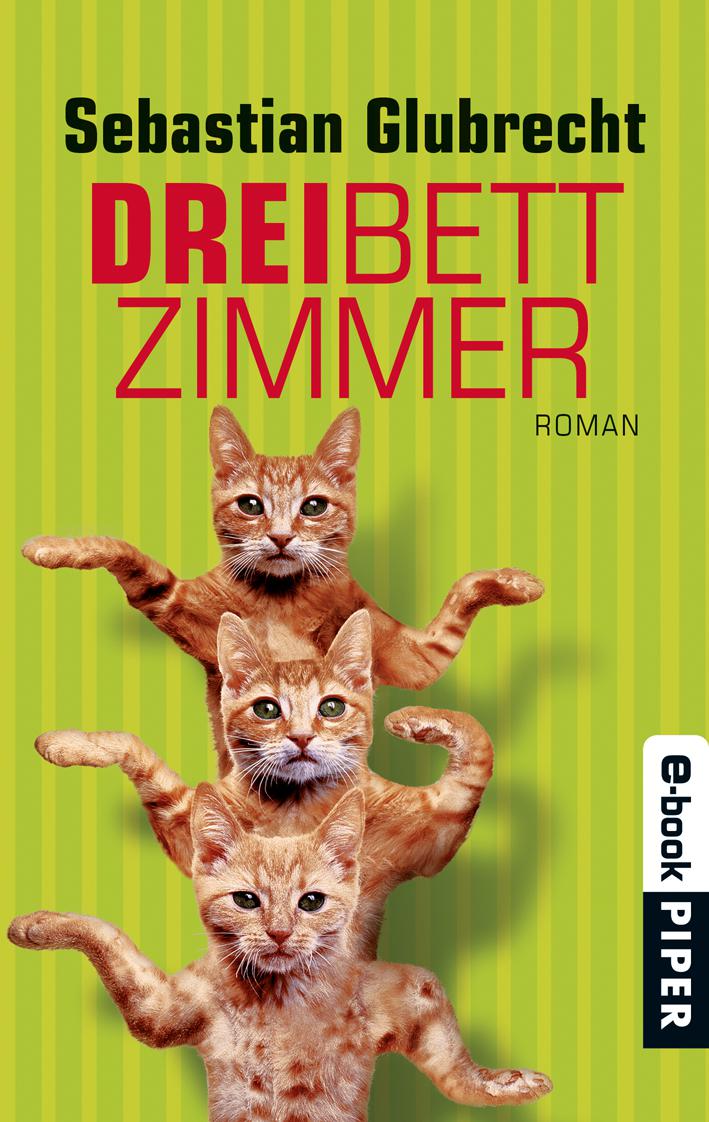 Dreibettzimmer: Roman