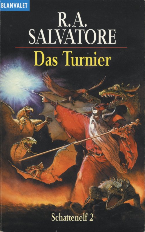 Schattenelf - 2 - Das Turnier