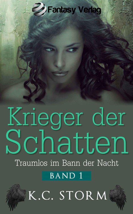Krieger der Schatten - Traumlos im Bann der Nacht
