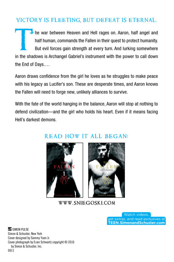 The Fallen 3