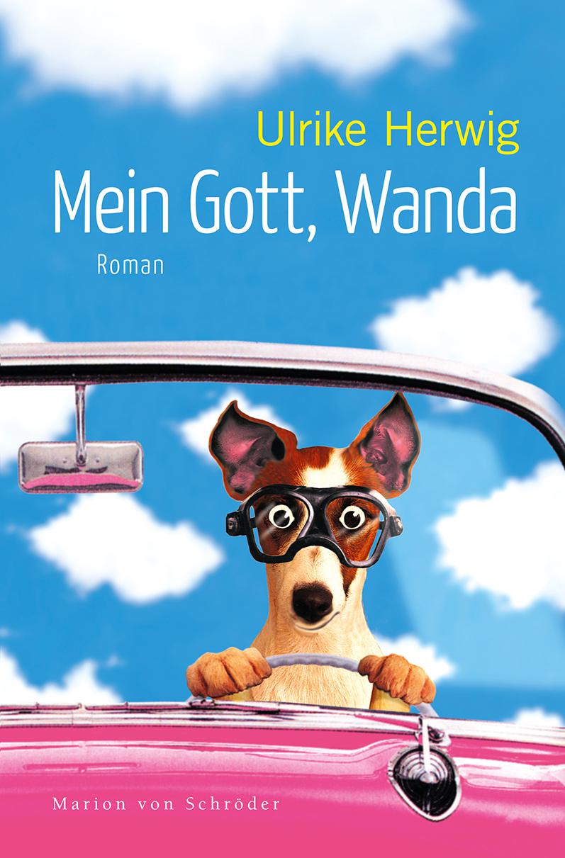 Mein Gott, Wanda: Roman