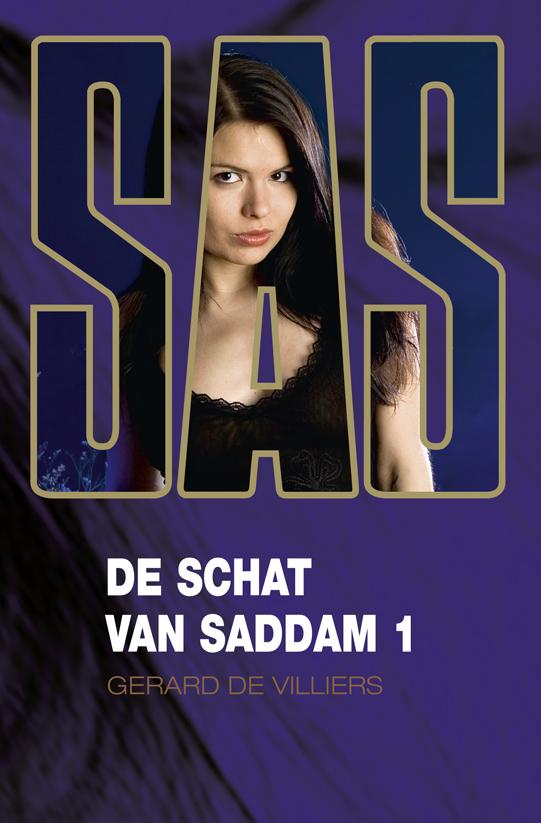 De schat van Saddam 1