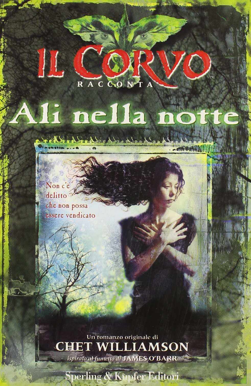 Ali nella notte