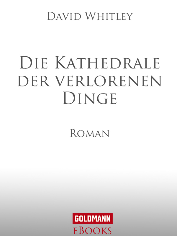 Kathedrale der verlorenen Dinge