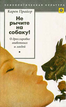 Несущие Ветер
