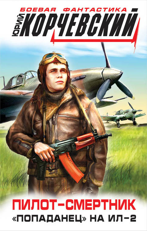 Пилотсмертник. Попаданец на Ил2