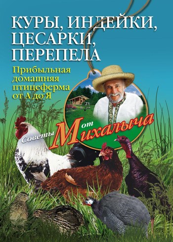 Куры индейки цесарки перепела. Прибыльная домашняя птицеферма от А до Я
