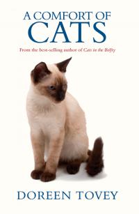 A Comfort Оf Cats